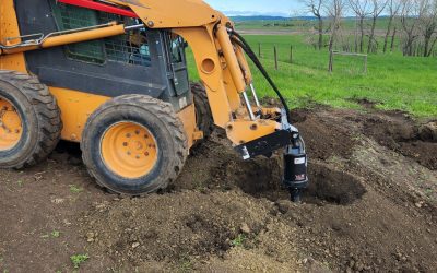 Expert Tree Planting Services in Calgary: Enhance Your Property with Alberta Tree Planting