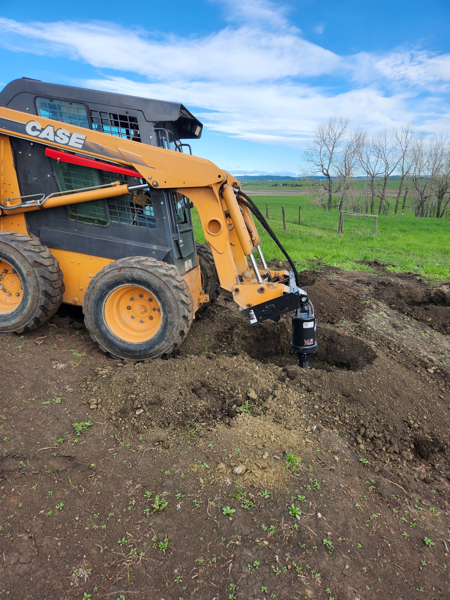 calgary tree planting large tree planting experts (6)